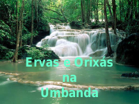 Ervas e Orixas na Umbanda.pdf